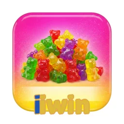 iiwin